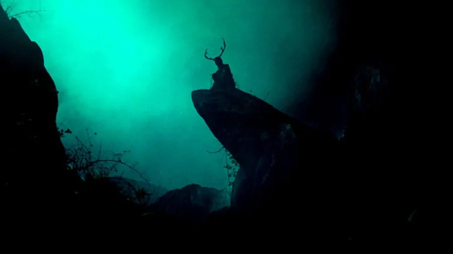 Black Spot