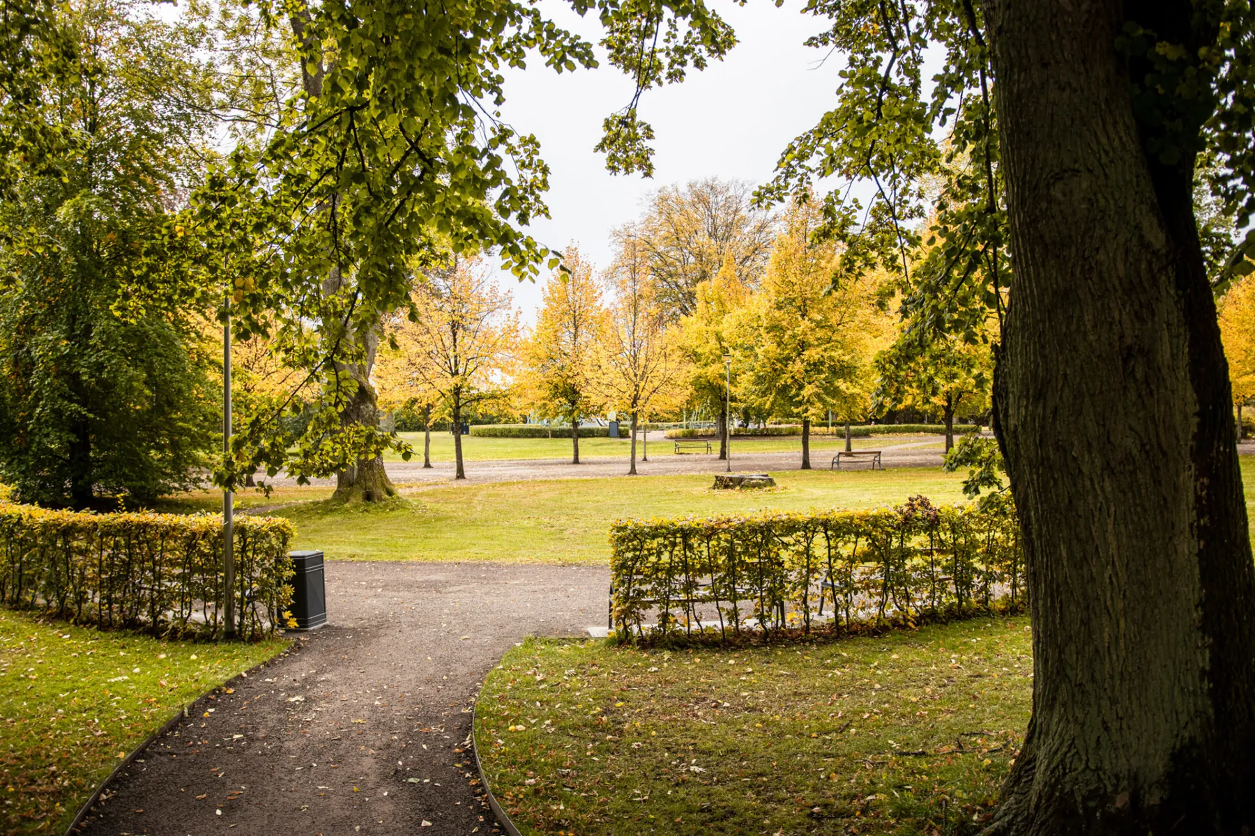 Linnéparken