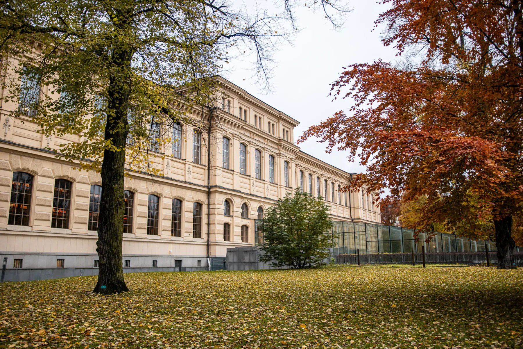 Kungliga biblioteket